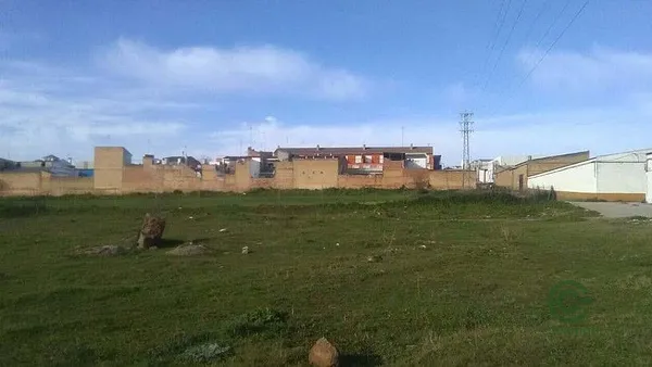 Spot image