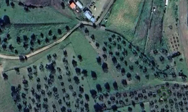 Spot image