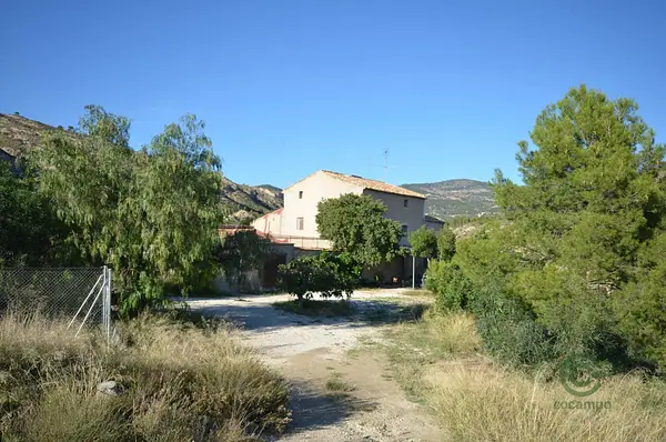 Spot image