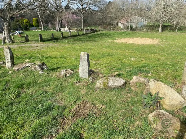 Spot image