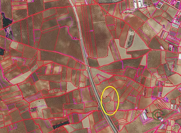Spot image