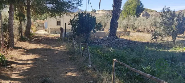 Spot image