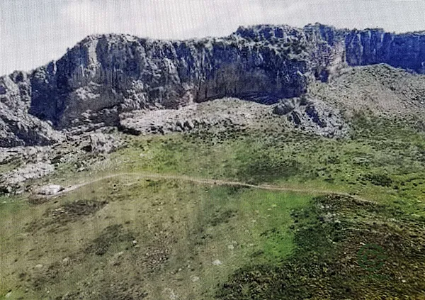 Spot image