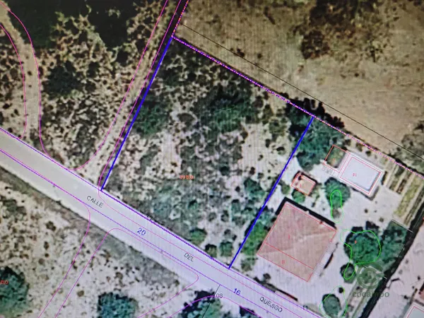 Spot image