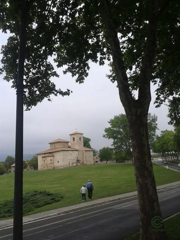 Spot image