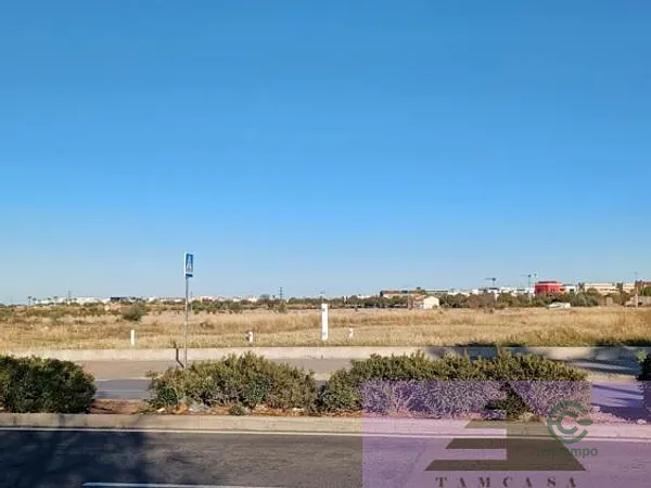 Spot image