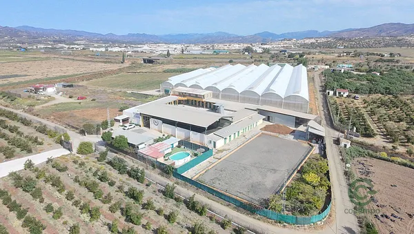Spot image