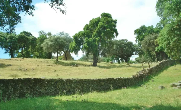 Spot image