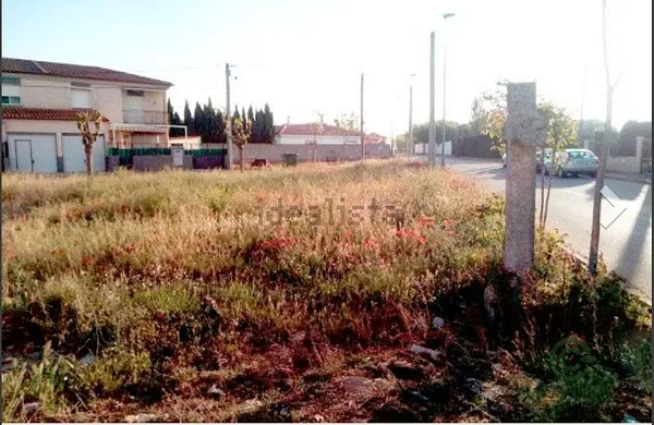 Spot image
