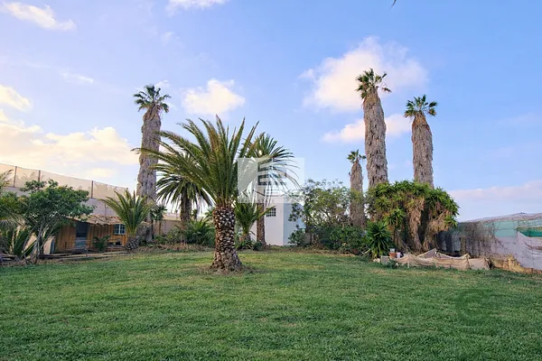 Finca agrícola de 1,0488 ha en venta en Buenavista del norte, Santa cruz de tenerife