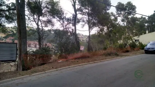 Spot image