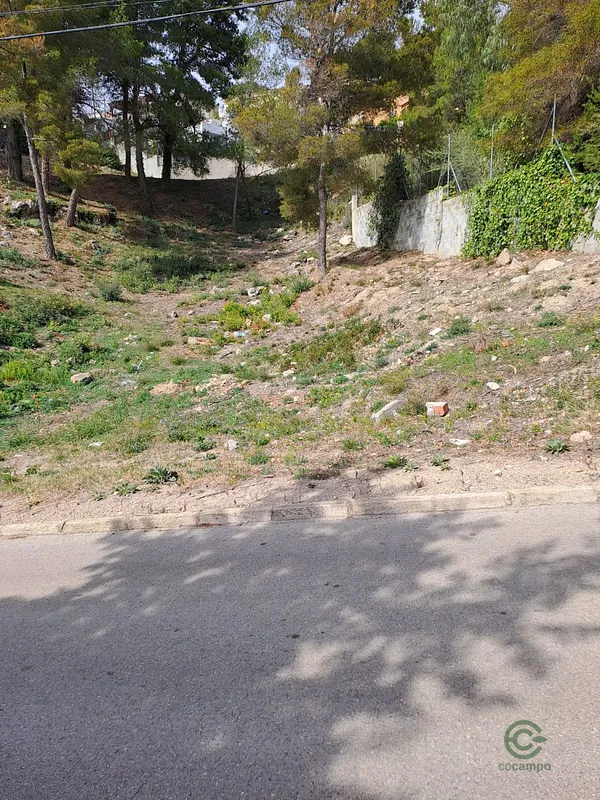 Spot image