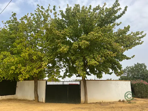 Spot image