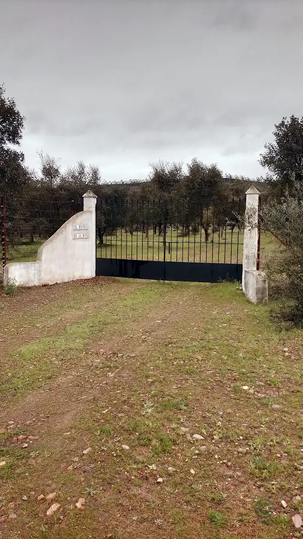 Spot image