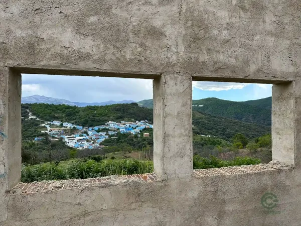 Spot image