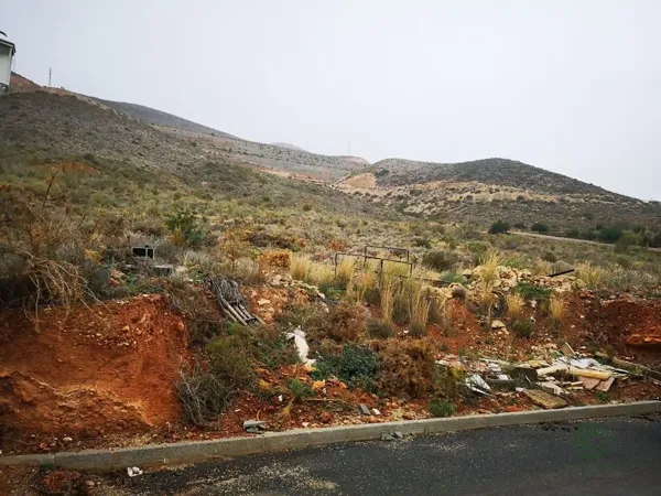Spot image