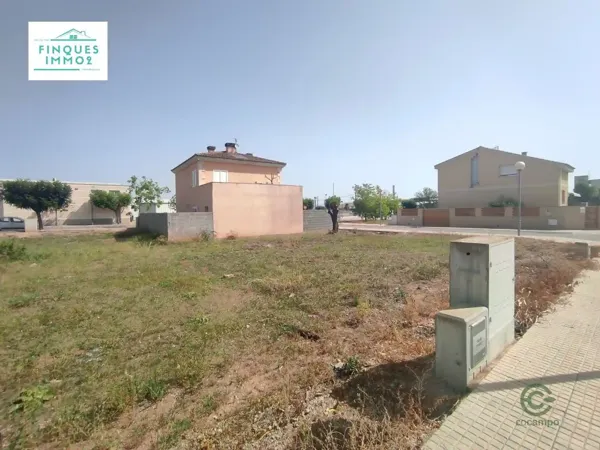 Spot image