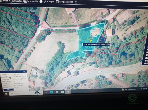 Spot image