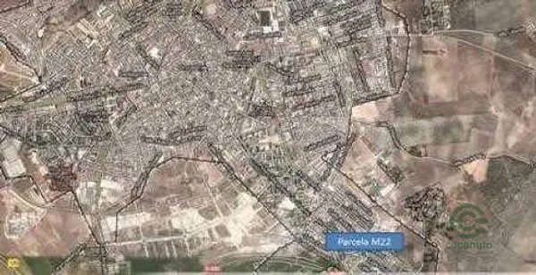 Spot image