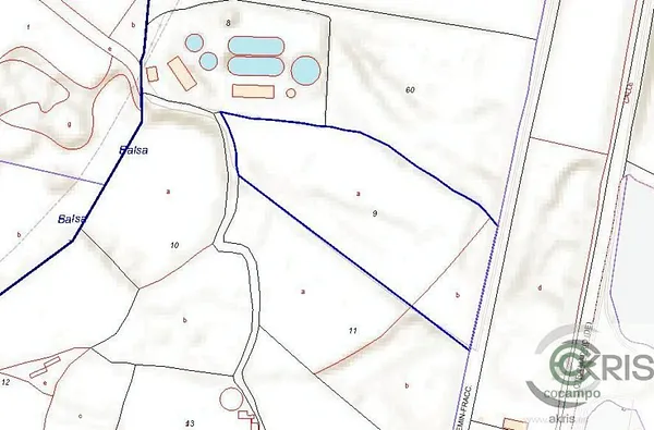 Spot image
