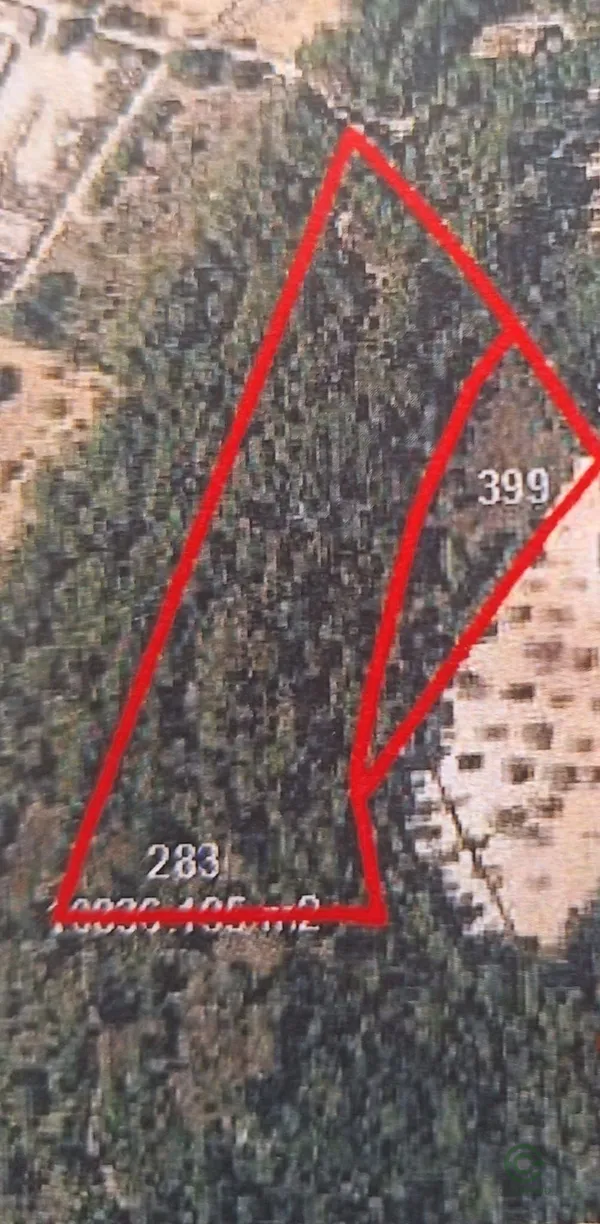 Spot image