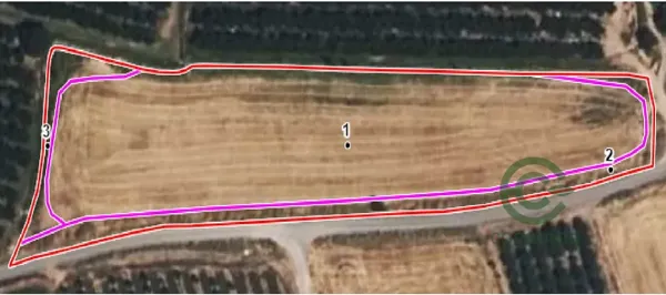 Spot image