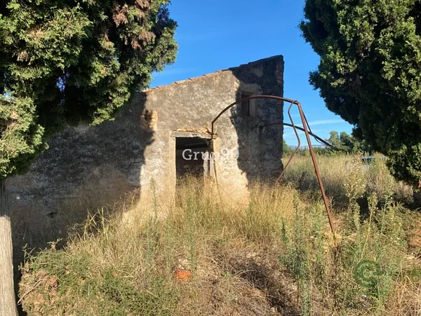 Spot image