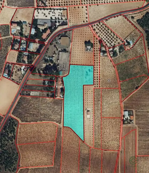 Spot image