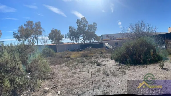 Spot image