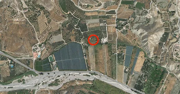 Spot image