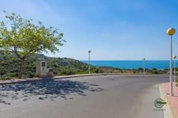 Spot image