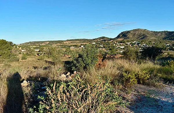 Spot image