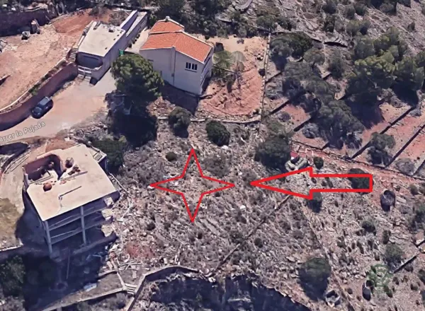Spot image