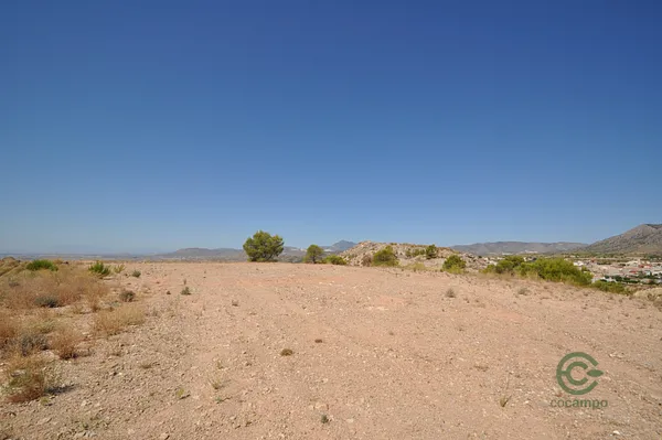 Spot image