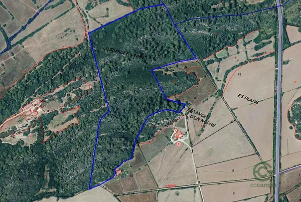 Spot image