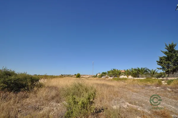 Spot image