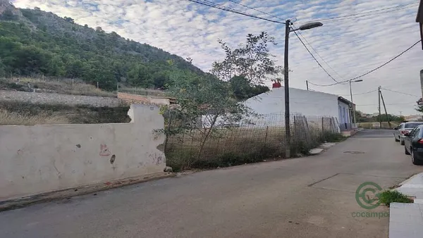 Spot image