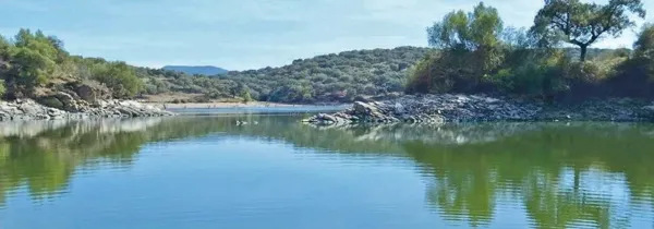 Spot image
