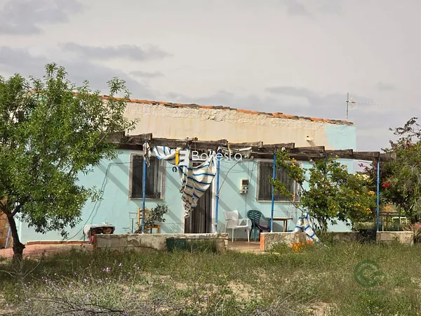 Spot image
