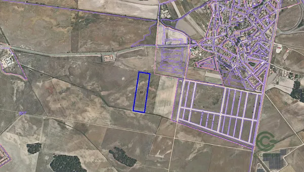 Spot image
