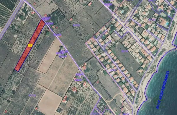 Spot image