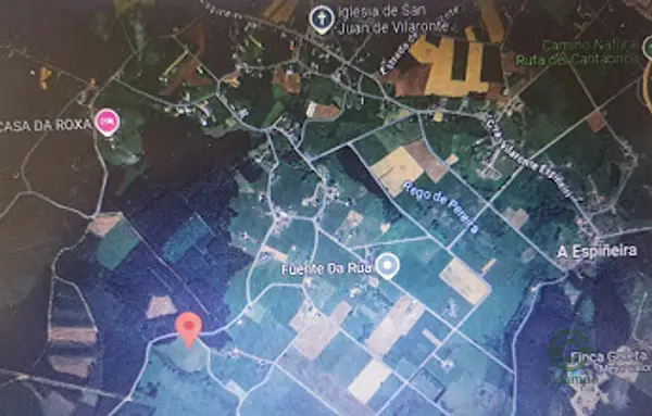 Spot image