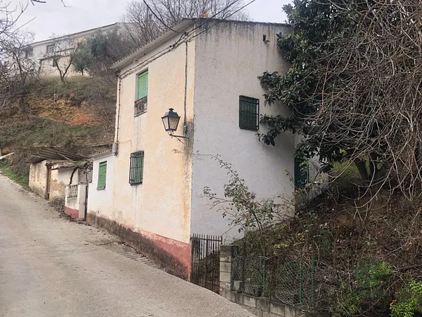 Spot image
