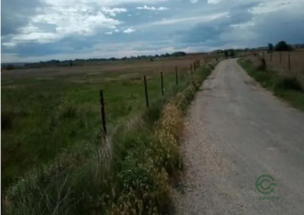 Spot image