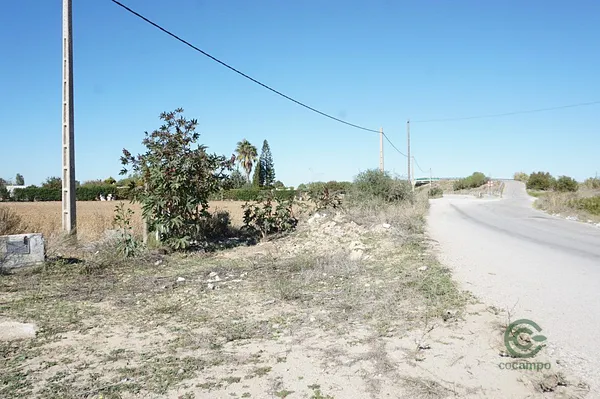 Spot image