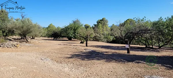 Spot image