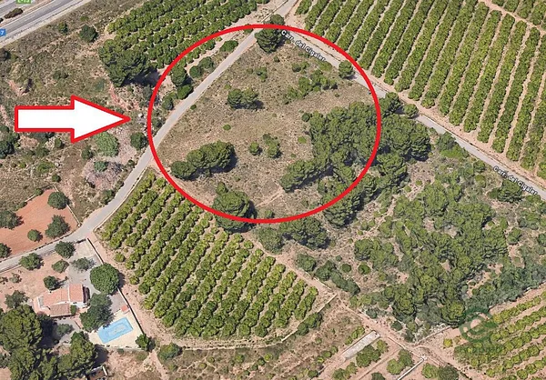 Spot image