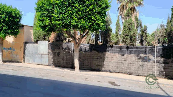 Spot image