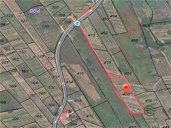 Spot image