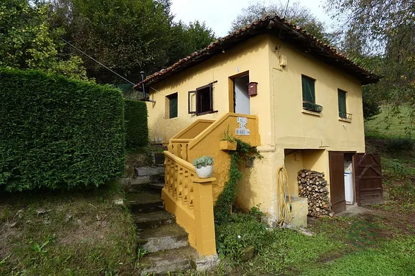 Spot image